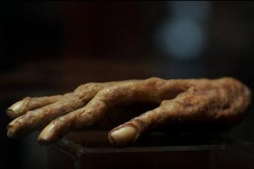 Hand of Glory - Supernatural Fan Site